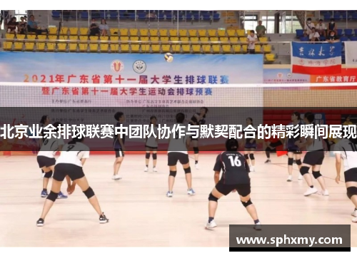 北京业余排球联赛中团队协作与默契配合的精彩瞬间展现