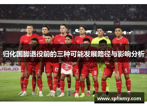 归化国脚退役前的三种可能发展路径与影响分析