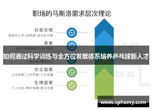 如何通过科学训练与全方位发展体系培养乒乓球新人才