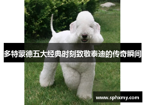 多特蒙德五大经典时刻致敬泰迪的传奇瞬间