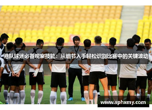 港队球迷必备观察技能：从细节入手轻松识别比赛中的关键波动