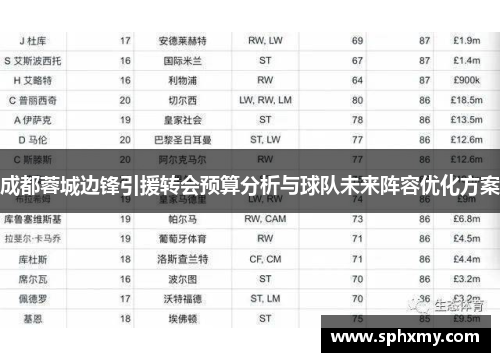 成都蓉城边锋引援转会预算分析与球队未来阵容优化方案
