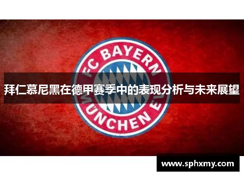 拜仁慕尼黑在德甲赛季中的表现分析与未来展望