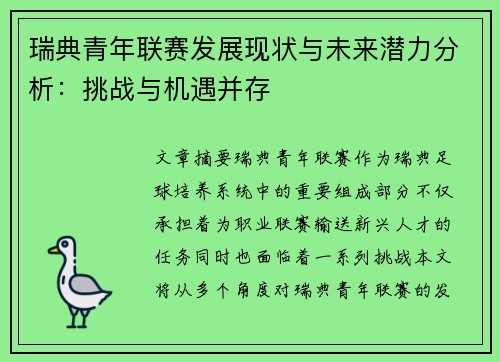 瑞典青年联赛发展现状与未来潜力分析：挑战与机遇并存